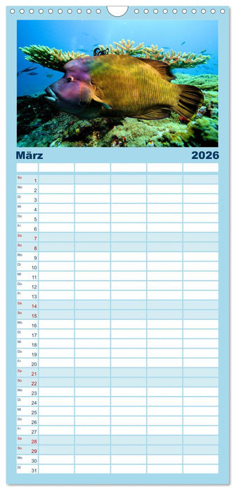 Abenteuer Riff - bunte Unterwasserwelt (CALVENDO Familienplaner 2026)