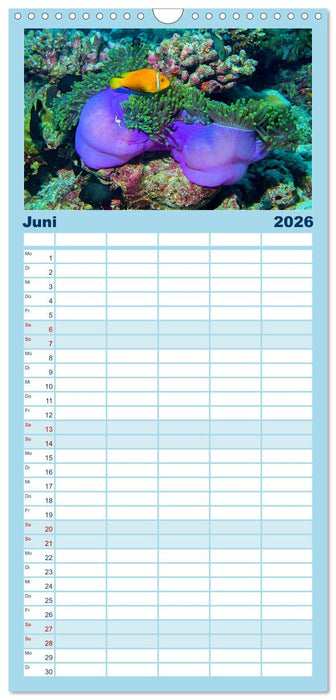 Abenteuer Riff - bunte Unterwasserwelt (CALVENDO Familienplaner 2026)