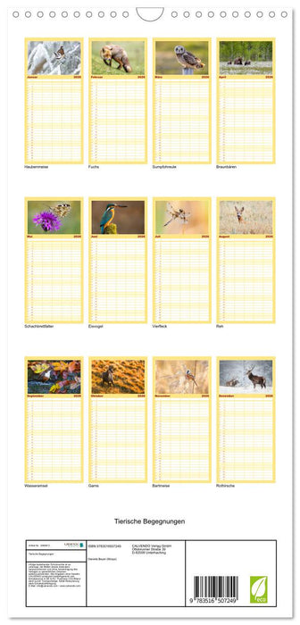 Tierische Begegnungen (CALVENDO Familienplaner 2026)