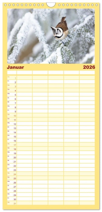 Tierische Begegnungen (CALVENDO Familienplaner 2026)