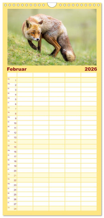 Tierische Begegnungen (CALVENDO Familienplaner 2026)