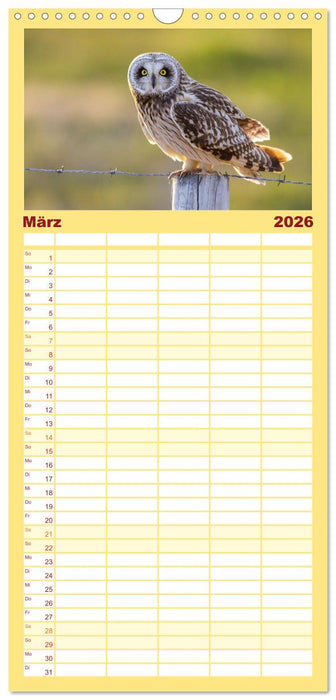 Tierische Begegnungen (CALVENDO Familienplaner 2026)