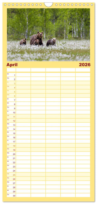 Tierische Begegnungen (CALVENDO Familienplaner 2026)