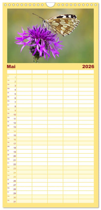 Tierische Begegnungen (CALVENDO Familienplaner 2026)