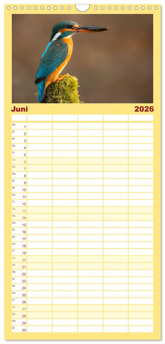 Tierische Begegnungen (CALVENDO Familienplaner 2026)