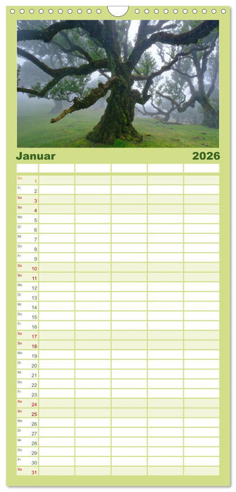 Madeira und Porto Santo (CALVENDO Familienplaner 2026)