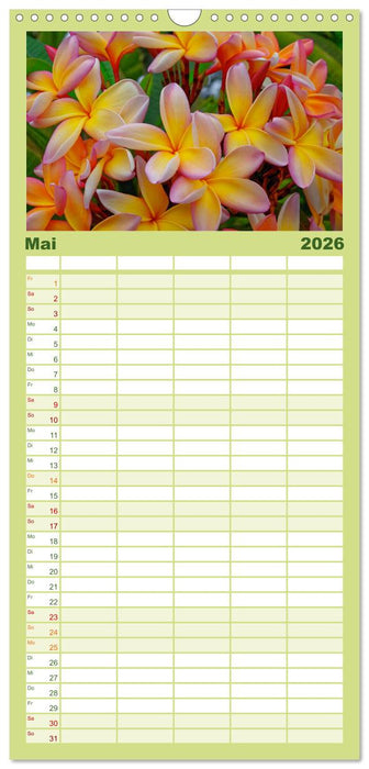 Madeira und Porto Santo (CALVENDO Familienplaner 2026)