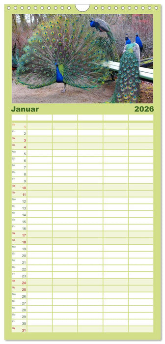 Die Pfaueninsel in Berlin (CALVENDO Familienplaner 2026)