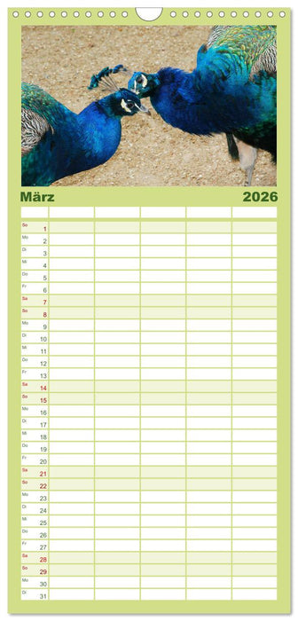 Die Pfaueninsel in Berlin (CALVENDO Familienplaner 2026)