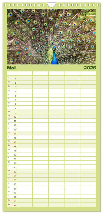 Die Pfaueninsel in Berlin (CALVENDO Familienplaner 2026)