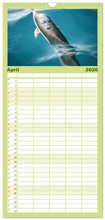 Madeira - Paradies im Atlantik (CALVENDO Familienplaner 2026)