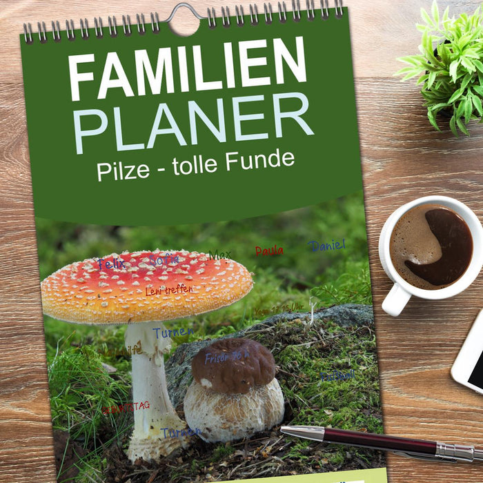 Pilze - tolle Funde (CALVENDO Familienplaner 2026)