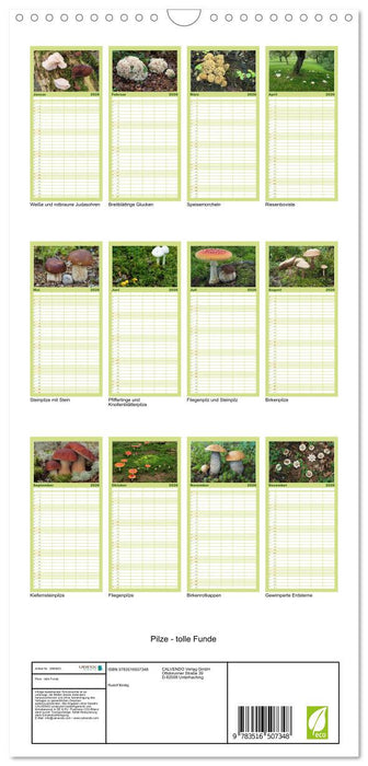 Pilze - tolle Funde (CALVENDO Familienplaner 2026)