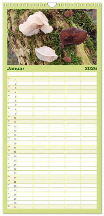 Pilze - tolle Funde (CALVENDO Familienplaner 2026)