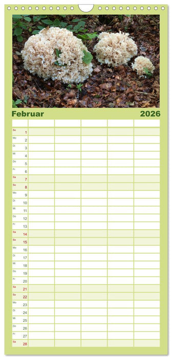 Pilze - tolle Funde (CALVENDO Familienplaner 2026)