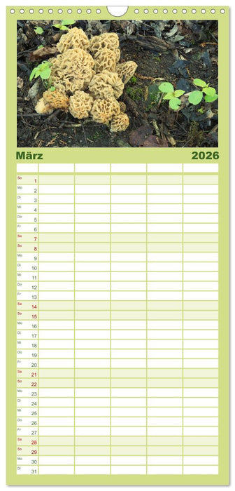 Pilze - tolle Funde (CALVENDO Familienplaner 2026)