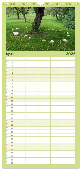 Pilze - tolle Funde (CALVENDO Familienplaner 2026)