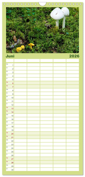 Pilze - tolle Funde (CALVENDO Familienplaner 2026)