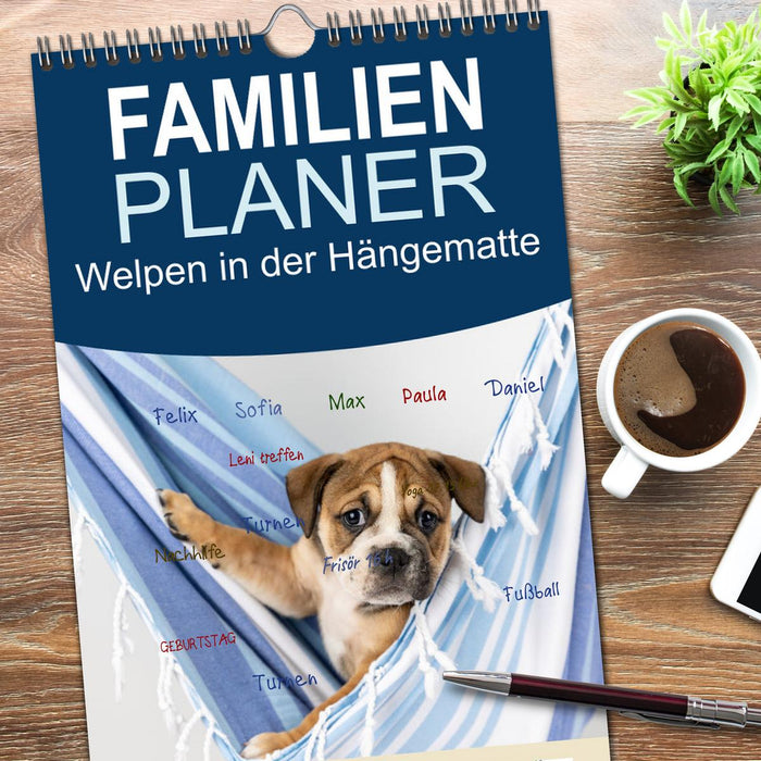 Welpen in der Hängematte (CALVENDO Familienplaner 2026)