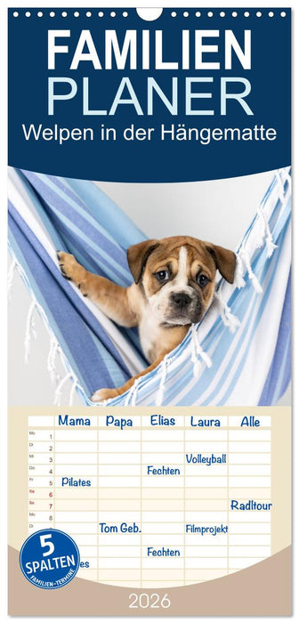 Welpen in der Hängematte (CALVENDO Familienplaner 2026)