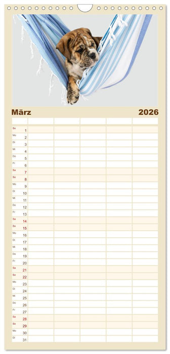 Welpen in der Hängematte (CALVENDO Familienplaner 2026)