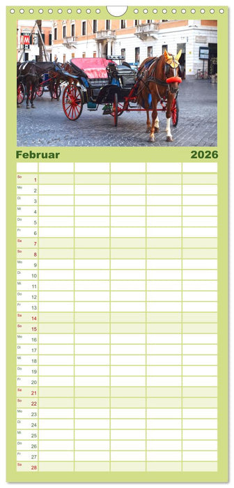 In Liebe Dein Rom (CALVENDO Familienplaner 2026)