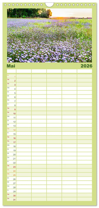 Friedländer Große Wiese (CALVENDO Familienplaner 2026)