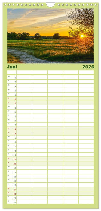 Friedländer Große Wiese (CALVENDO Familienplaner 2026)