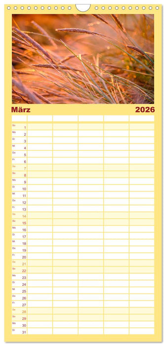 feeling Sylt (CALVENDO Familienplaner 2026)