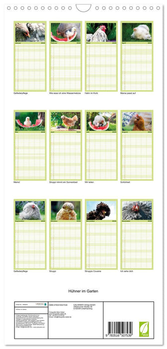 Hühner im Garten (CALVENDO Familienplaner 2026)