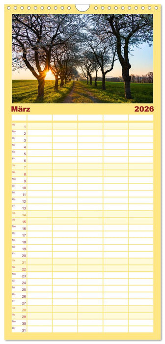 Sonnige Augenblicke (CALVENDO Familienplaner 2026)