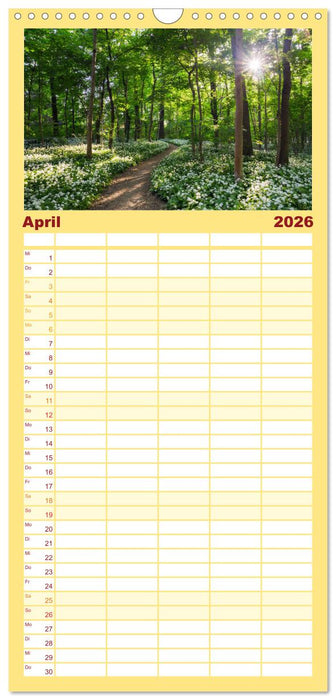 Sonnige Augenblicke (CALVENDO Familienplaner 2026)