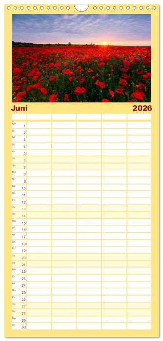 Sonnige Augenblicke (CALVENDO Familienplaner 2026)