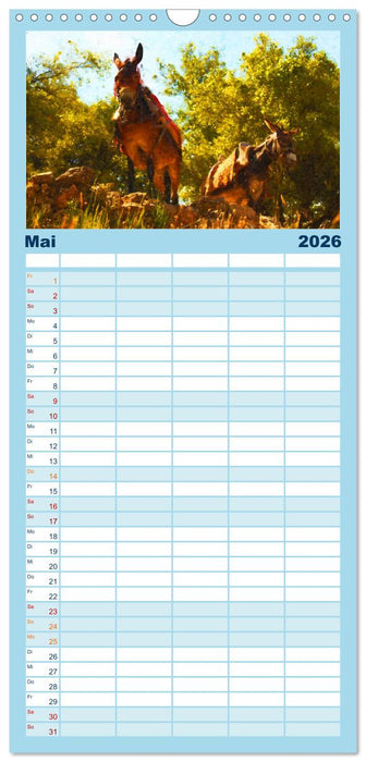 Kreta - Malerische Insel Griechenlands (CALVENDO Familienplaner 2026)