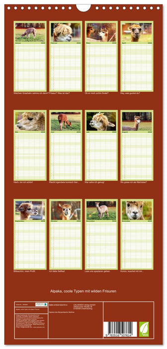 Alpaka, coole Typen mit wilden Frisuren (CALVENDO Familienplaner 2026)