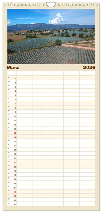 Mexiko aus der Vogelperspektive (CALVENDO Familienplaner 2026)