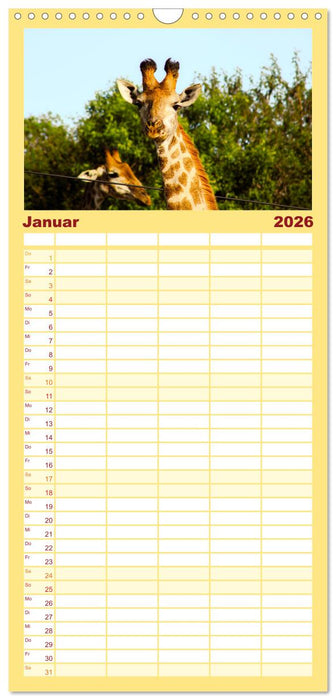 Mosambik - Eine Perle im Süden Afrikas. (CALVENDO Familienplaner 2026)