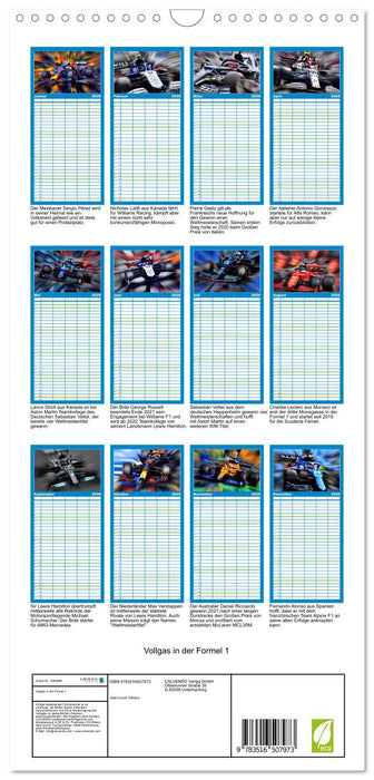 Vollgas in der Formel 1 (CALVENDO Familienplaner 2026)