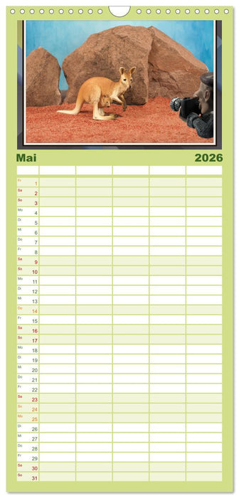 Fotograf auf Pirsch - ein Kinderkalender (CALVENDO Familienplaner 2026)