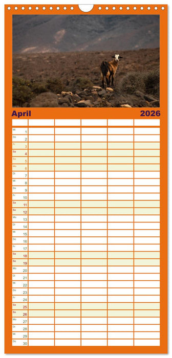 Fuerteventura - Reise über die Vulkaninsel (CALVENDO Familienplaner 2026)