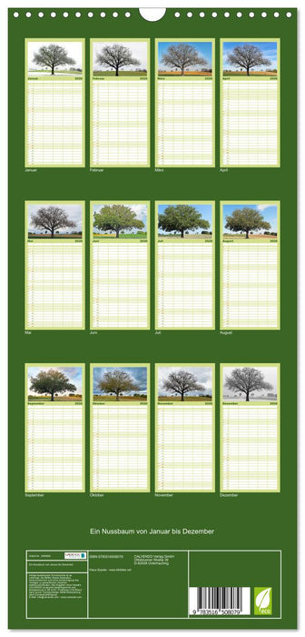 Ein Nussbaum von Januar bis Dezember (CALVENDO Familienplaner 2026)