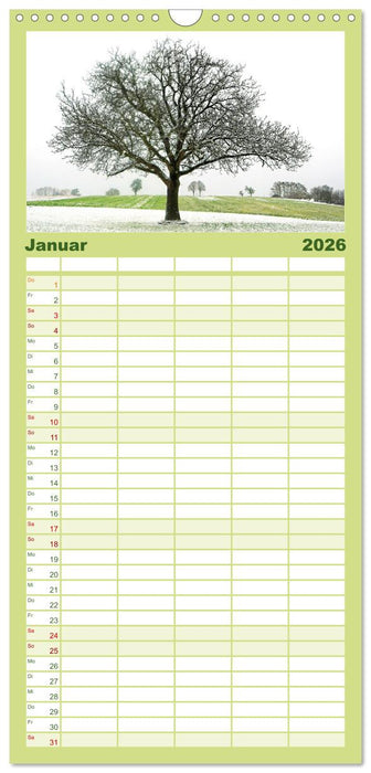Ein Nussbaum von Januar bis Dezember (CALVENDO Familienplaner 2026)