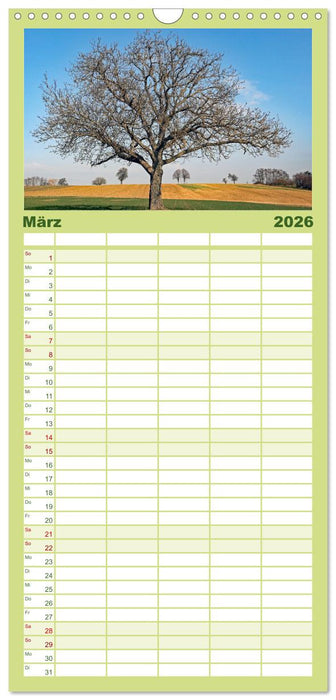 Ein Nussbaum von Januar bis Dezember (CALVENDO Familienplaner 2026)