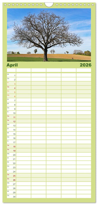 Ein Nussbaum von Januar bis Dezember (CALVENDO Familienplaner 2026)