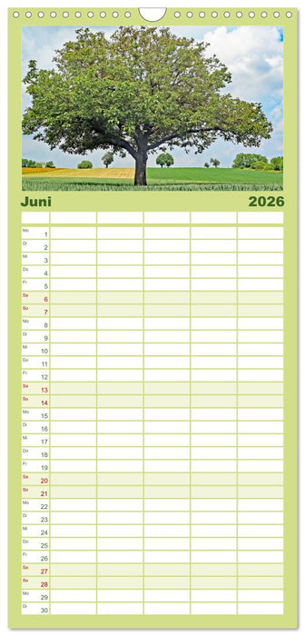 Ein Nussbaum von Januar bis Dezember (CALVENDO Familienplaner 2026)