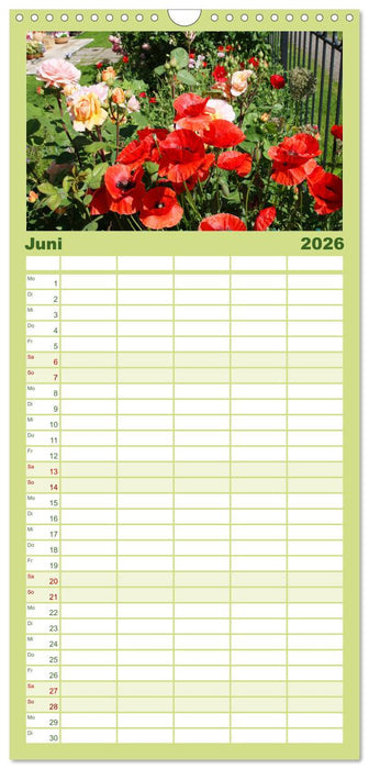 Urlaub im Garten (CALVENDO Familienplaner 2026)