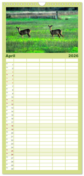 Unser Land im Norden (CALVENDO Familienplaner 2026)