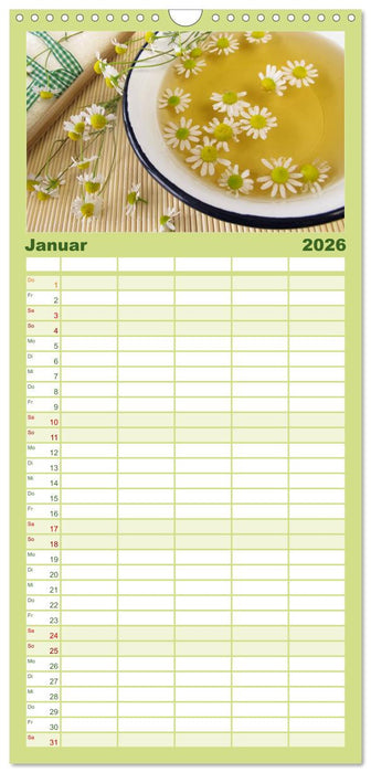 Mit Pflanzenkraft natürlich heilen (CALVENDO Familienplaner 2026)