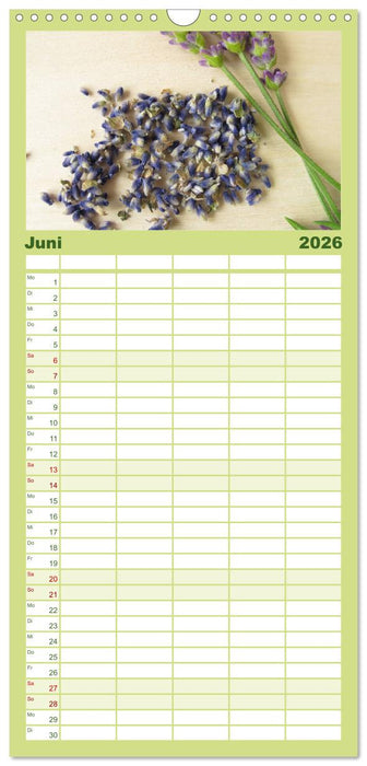 Mit Pflanzenkraft natürlich heilen (CALVENDO Familienplaner 2026)