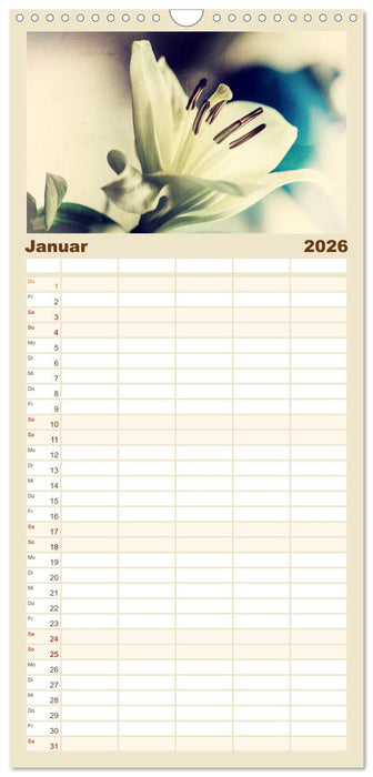 Blüten im Retro-Style (CALVENDO Familienplaner 2026)